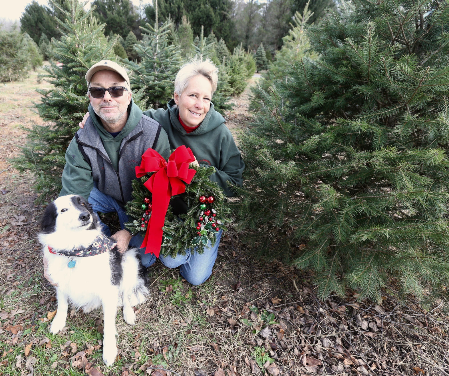 Littleworth Christmas Tree Farm